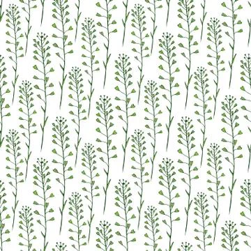 Wildflowers seamless pattern background. Vector print design. Nature backgrou Stock Illustration
