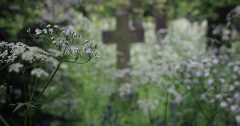 Wildflowers in soft focus with blurred stone cross in an old cemetery. Stock Footage 319780228