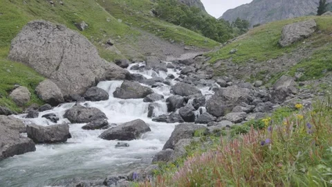 Wildflowers swaing in wind as mountain stream cascades over boudlers Stock Footage 341516305