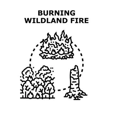 Wildland fire burning forest and dry grass concept Stock Illustration