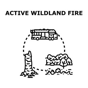 Wildland fire management process on forest lands Stock Illustration