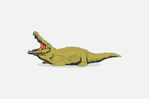 Wildlife Alligator vector. Crocodile Vector illustration. Stock Illustration