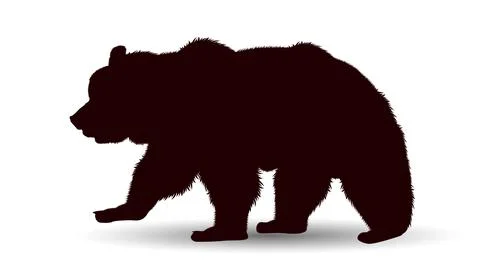 Wildlife bear Stock Illustration