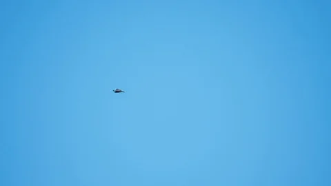 Wildlife birds buzzards in flight Stock Footage 105501201