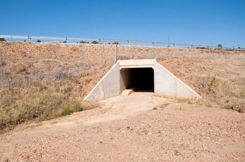 Wildlife crossing Stock Photos