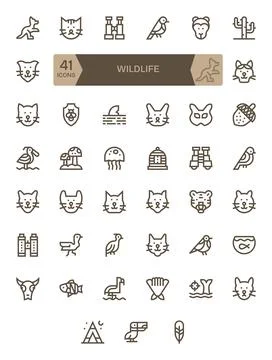Wildlife Design Vector Icons featuring 41 Display Perfect Bold Line Style Stock Illustration