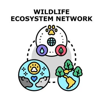 Wildlife ecosystem network concept connecting global conservation Stock Illustration