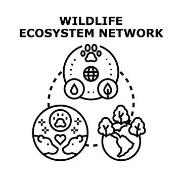 Wildlife ecosystem network concept connecting global conservation Stock Illustration