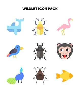 Wildlife Flat Graphics Icons Pack Stock Illustration