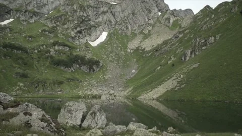 Wildlife. Stock Footage 148377104