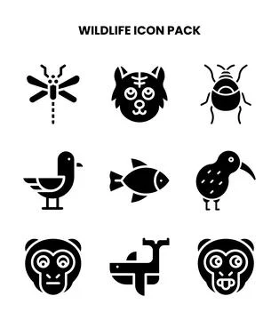 Wildlife Glyph Vector Icons Pack Stock Illustration