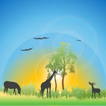 Wildlife Stock Illustration