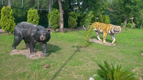 Wildlife museum Video stock 314652072