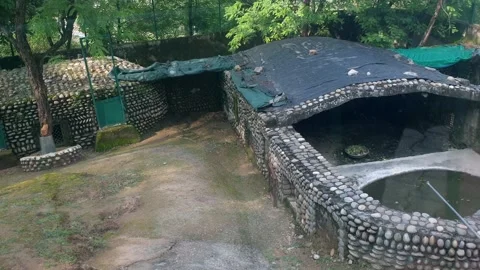 Wildlife museum Stock Footage 314652278