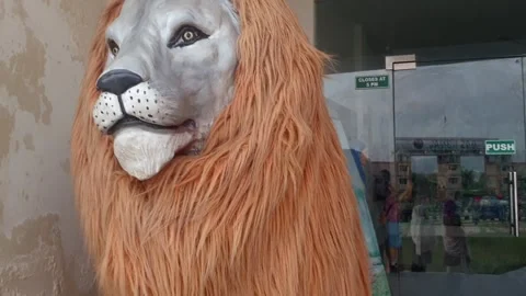 Wildlife museum Vidéo 314652313
