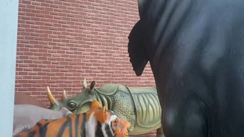 Wildlife museum Vidéo 314652358