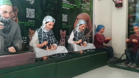 Wildlife museum 库存影片 314652711