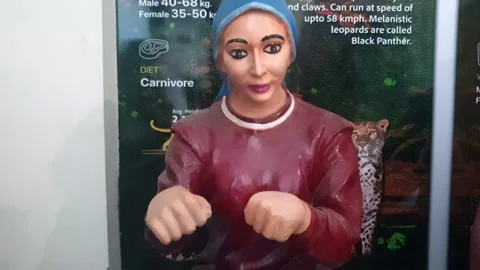Wildlife museum Vidéo 314652759