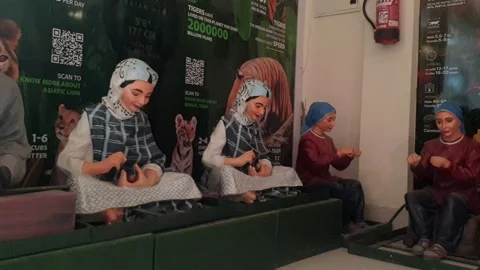 Wildlife museum Video stock 314652770