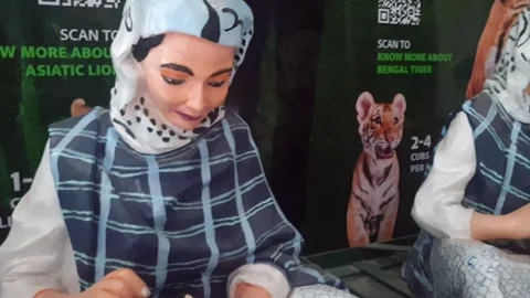 Wildlife museum Video stock 314653442