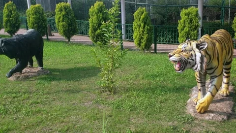 Wildlife museum Vidéo 314654277