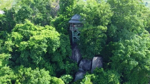 Wildlife Observation Tower Forest Fire Watch Cliff Vídeos de archivo 335332857