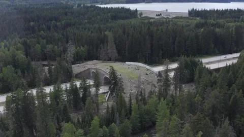 Wildlife Overpass I-90 Freeway Snoqualmie Pass Washington State Drone Aerial Stock Footage 159241437