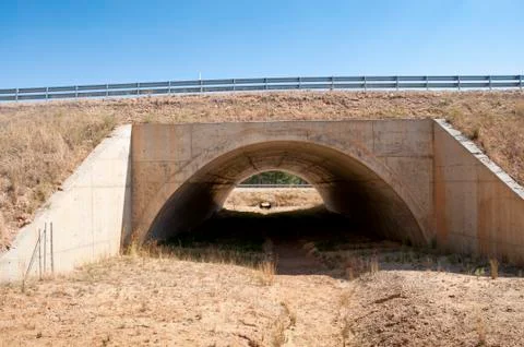 Wildlife passage Stock Photos