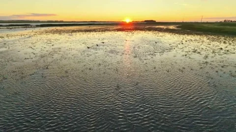 Wildlife sunrise Stock Footage 341889239