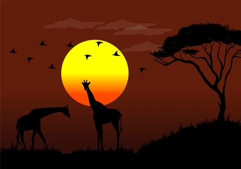 Wildlife at sunset Stock Illustration