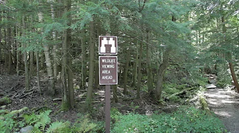 Wildlife Viewing Area sign Vídeo Stock 24615098