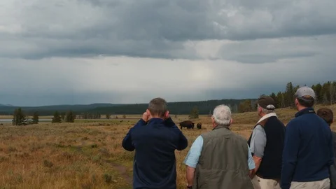 Wildlife watching Stock Footage 93416541