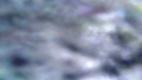 Wildriver Stock Footage 98680155