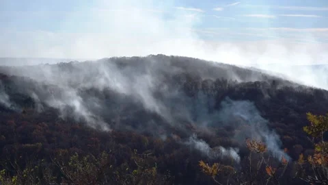 Wilfire on Mountain in Reading, Pennsylvania Stock Footage 291476622