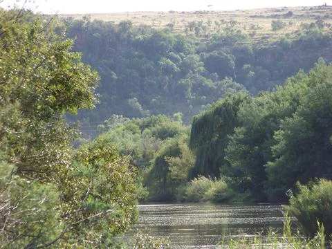 Wilge river Stock Photos