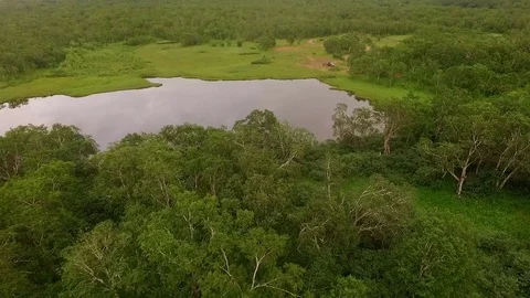 Will fly in the grass. Flying in the copter. Kamchatka Stock Footage 72607874