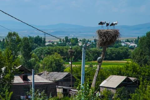 Willage landscape with stork Stock Photos