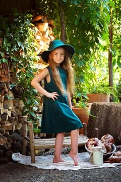 Willage Stock Photos