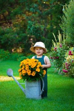 Willage Stock Photos