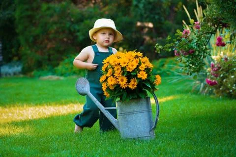 Willage Stock Photos