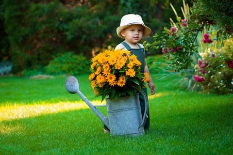 Willage Stock Photos