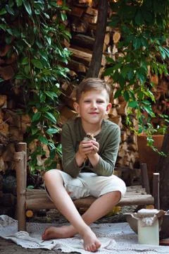 Willage Stock Photos