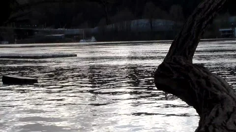 Willamette River Flooded Bayside Establishing Shot Stock Footage