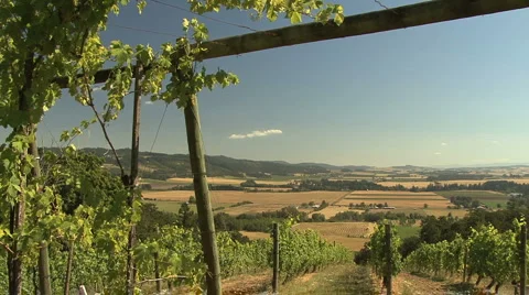 Willamette Valley views from vineyard 動画素材 987290
