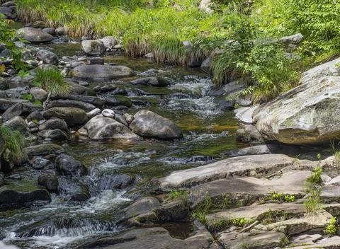 Willard brook cascading through the wilderness Stock Photos