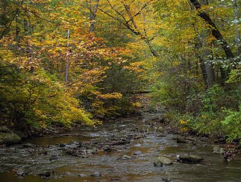 Willard brook on a cloudy october day Stock Photos