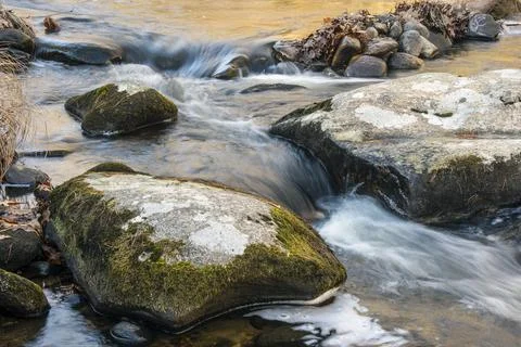 Willard brook flowing through willard brook state forest, Stock Photos