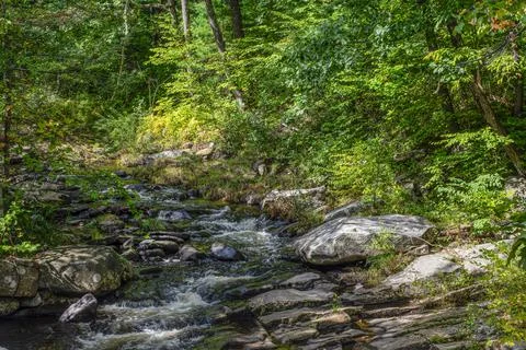 Willard brook in the wilderness 스톡 사진