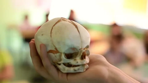 William Shakespeare - Hamlet scene. Human skull in actor hand Stock Footage 55266103
