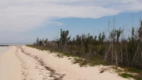 Williams Beach Stock Footage 89142806